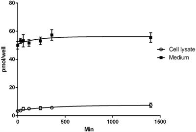 3,5-Diiodo-l-Thyronine Increases Glucose Consumption in Cardiomyoblasts Without Affecting the Contractile Performance in Rat Heart